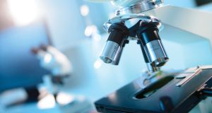 Laboratory