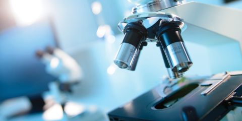 Laboratory